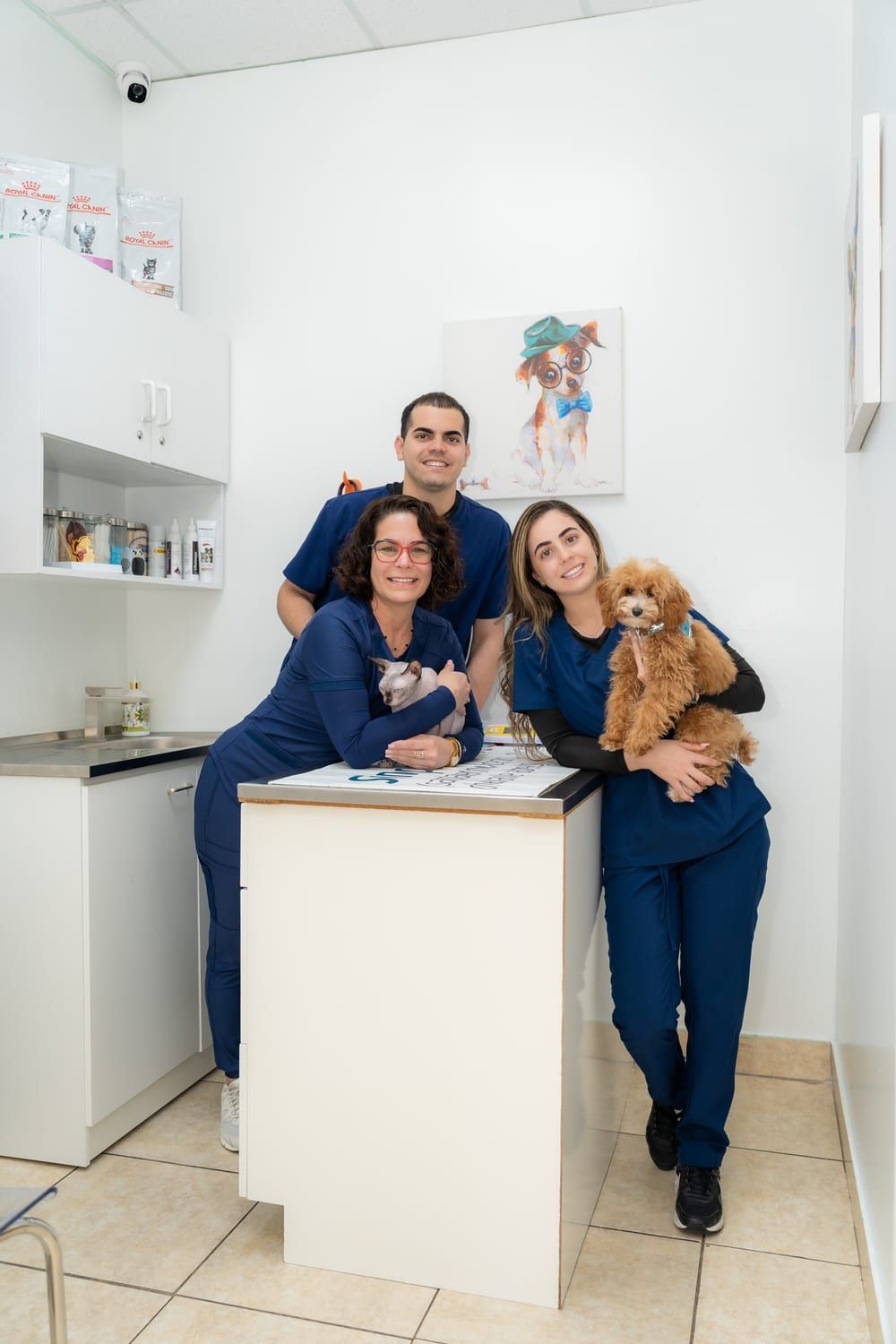 Four Paws Angels veterinary team