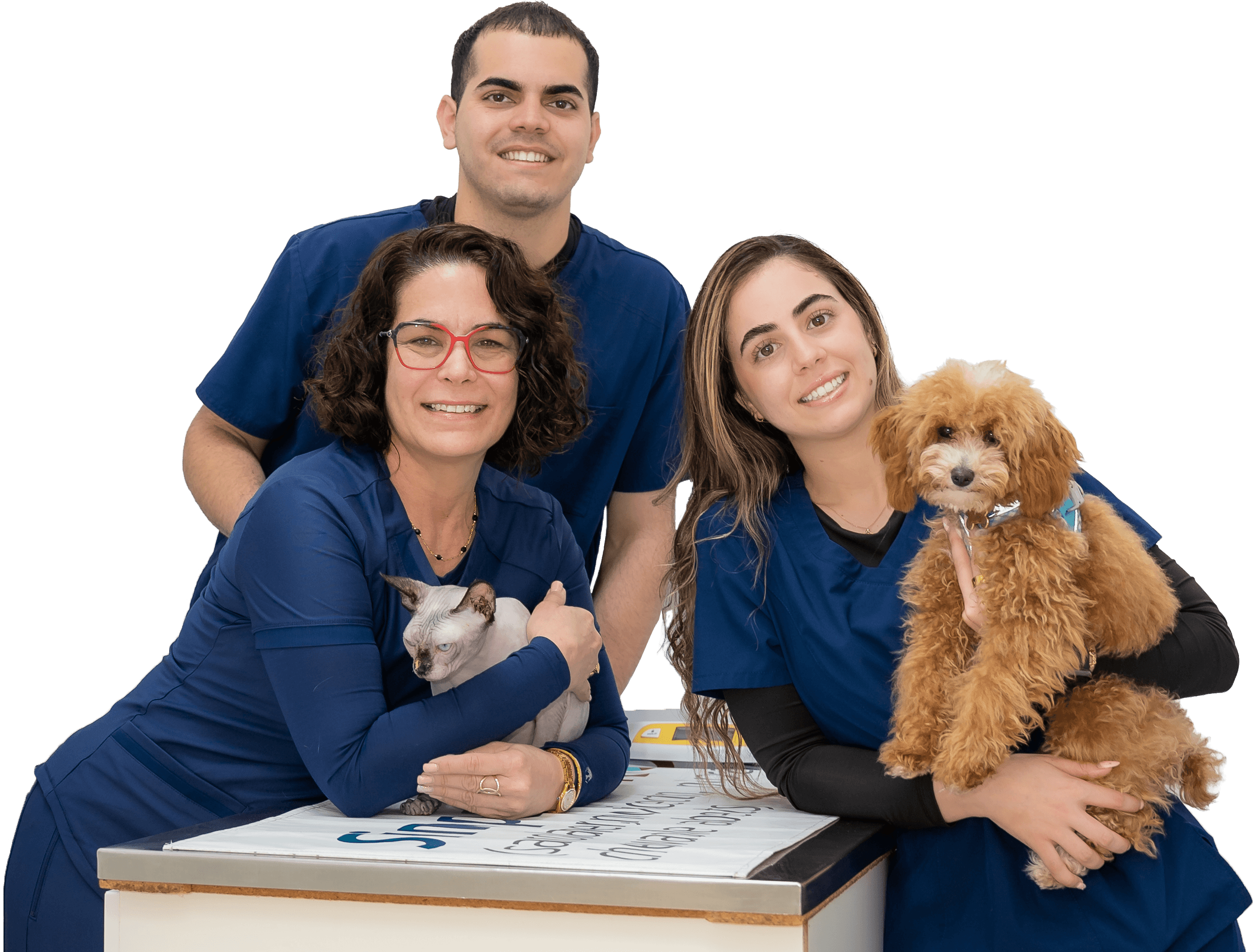 Four Paws Angels veterinary team