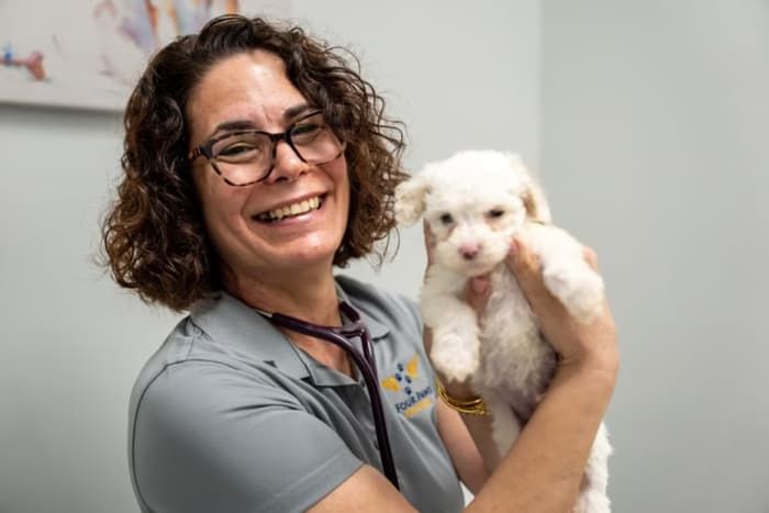 Vet team member holding a white bichon puppy