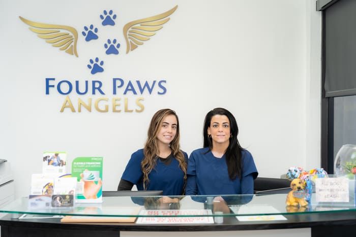Two Four Paws Angels team members at the reception desk