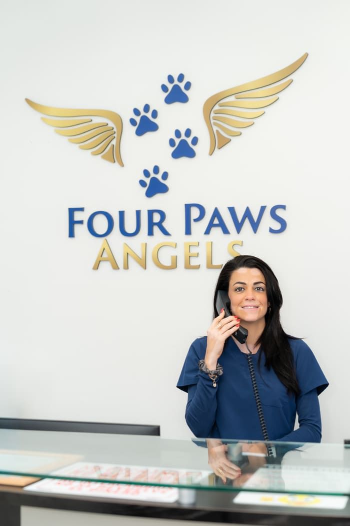 Four Paws Angels receptionist answering a phone call