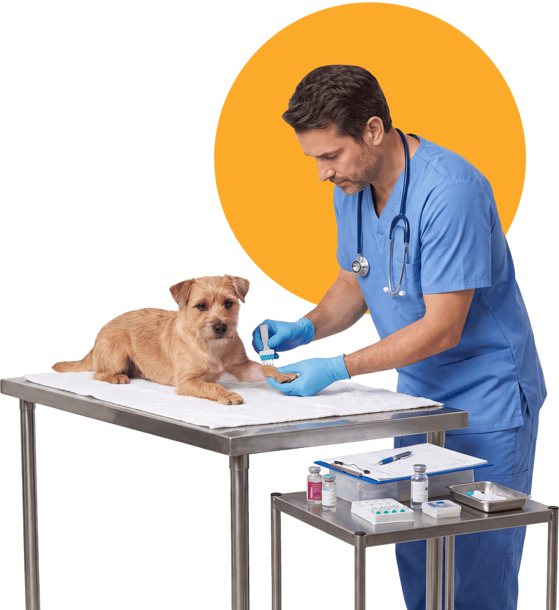 Allergy Testing & Treatment