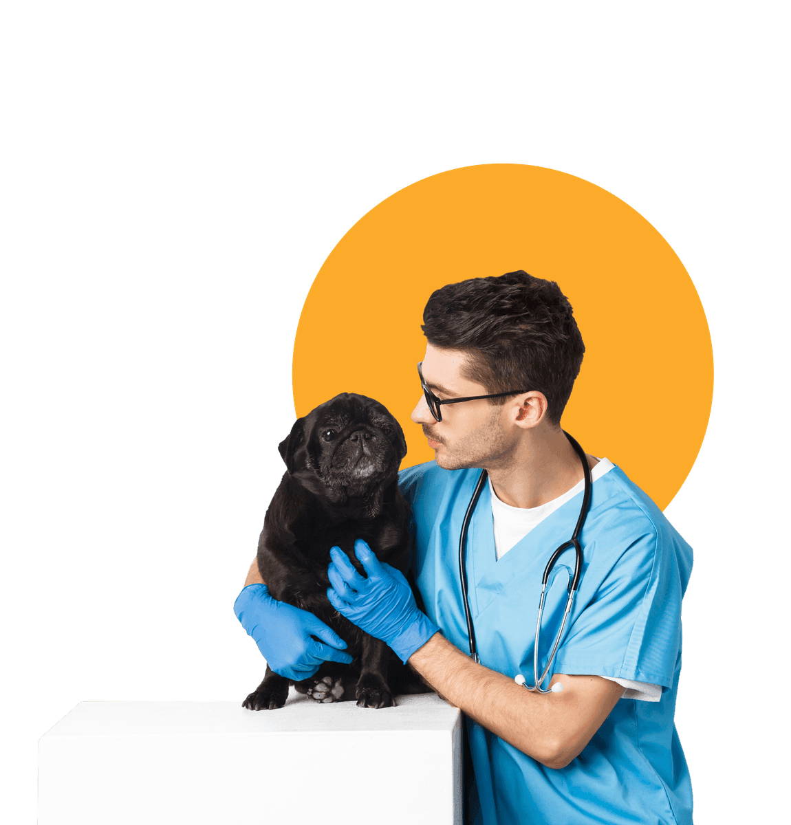 Preventive Care & Wellness